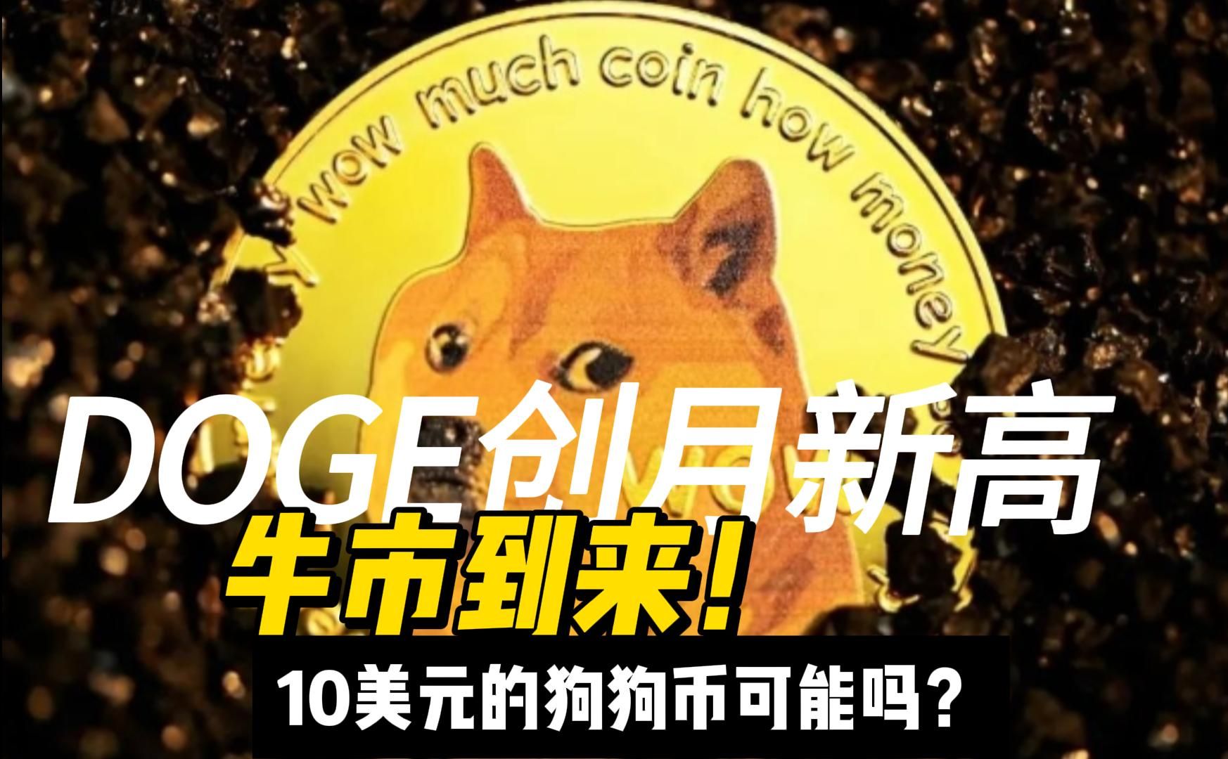 钱包狗狗币_狗狗币 tp钱包_狗狗币钱包dogecoin