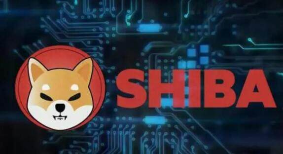 钱包英语_tp钱包doge_钱包怎么折