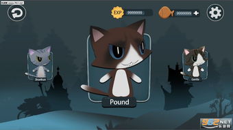 猫手游