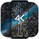 4kwallpapers汉化版动态壁纸app安卓版免费下载安