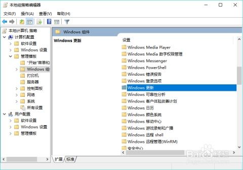 如何更新windows系统,轻松完成Windows 10 20H1快速预览版18