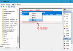 windows系统自动更新,保障安全与流畅体验的关键机制