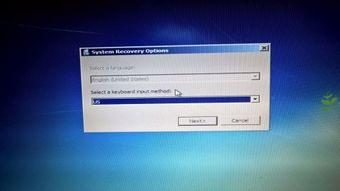 装系统正在启动windows,从装系统到桌面呈现