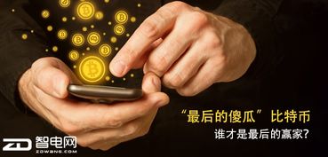 傻瓜的比特币,傻瓜交易背后的加密货币传奇