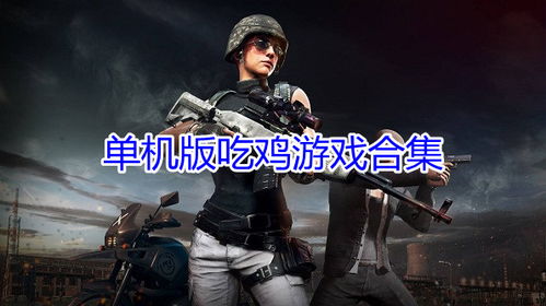 吃鸡 单机版,吃鸡单机版带你领略生存挑战新境界