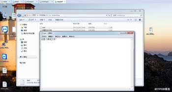 windows网络文件系统,架构、功能与应用解析